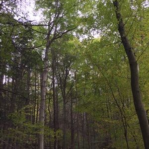 Meet your Posher, Greta